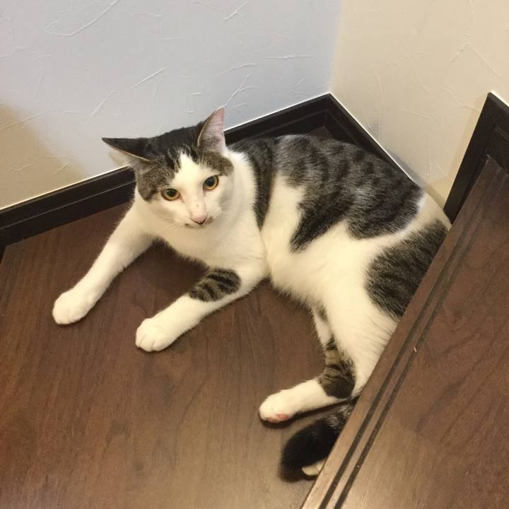 1cbf633b fbf1 49d0 9f3b 77ae4146f746