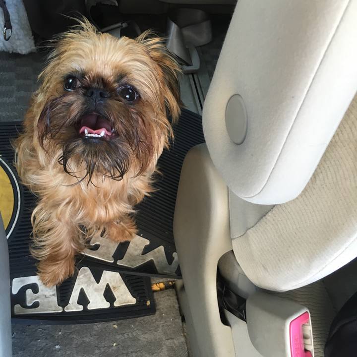 1cbf65b7 7851 41ea bdaa aeffcd95dfce