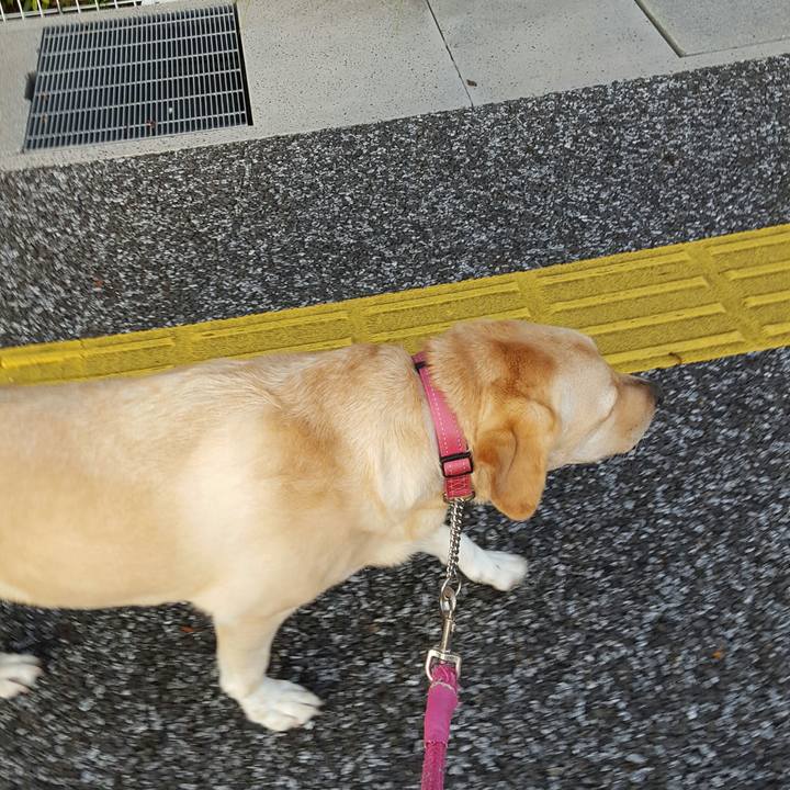 1cc00394 461e 4c77 8e51 faca4da1ad75