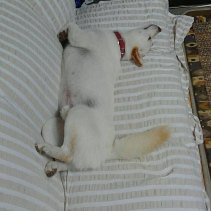 1cc0b4aa c450 4044 b0e1 b69cb9db7d27