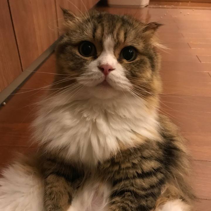 1cc0e393 929f 4ec9 ac35 e5aac61cc088