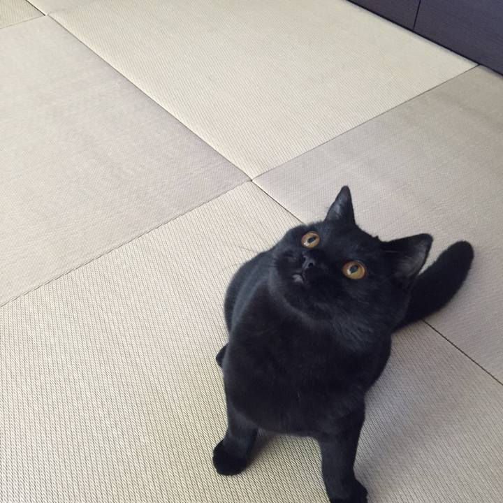 1cc13694 314d 402c 9539 9ca8778216ab