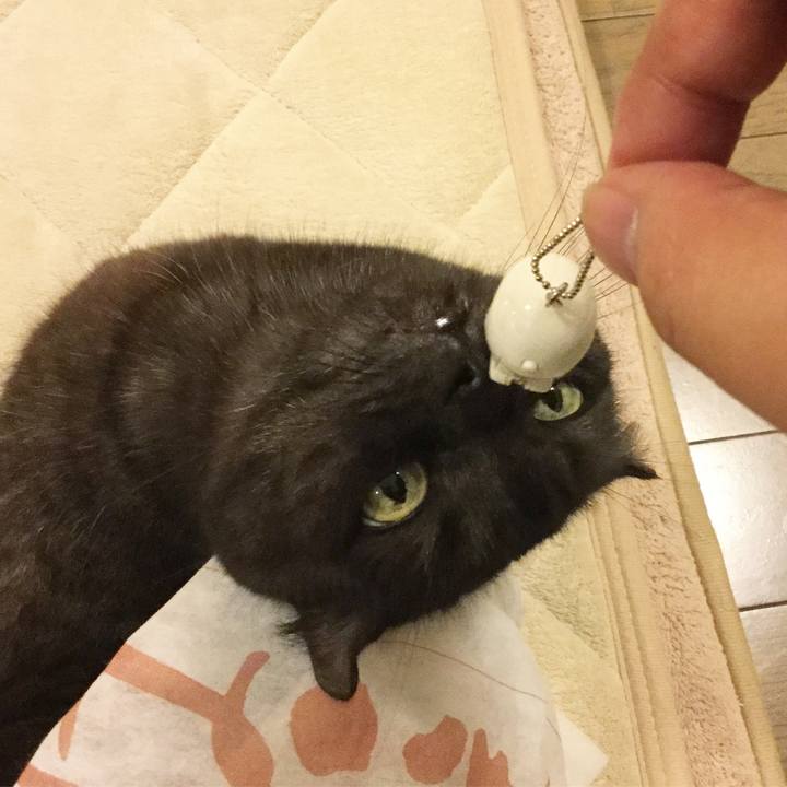 1cc1a947 1564 4684 a19a adf1649a6ec9