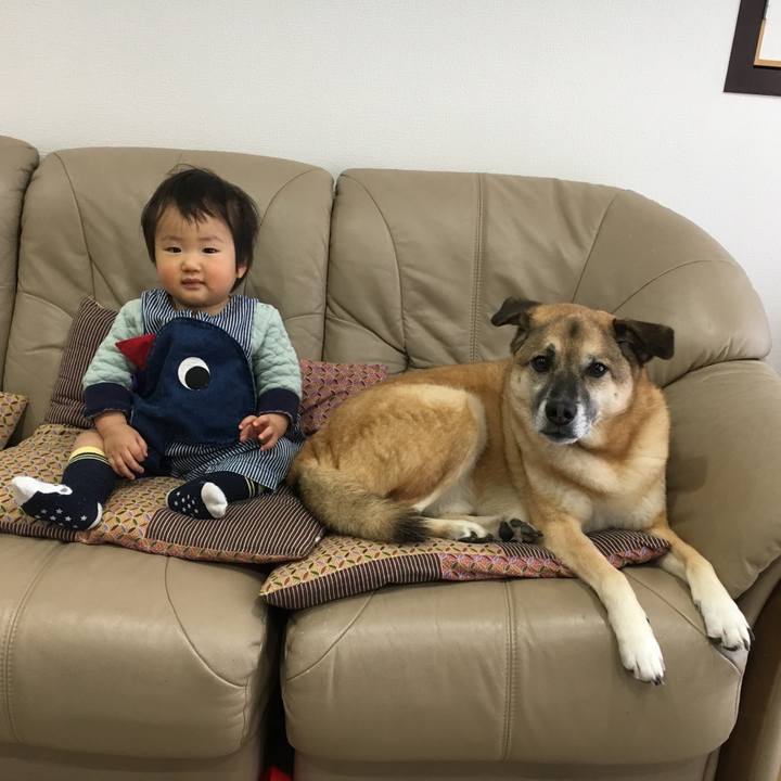 1cc1f6ee 30f8 4dc1 8de6 691483230b18