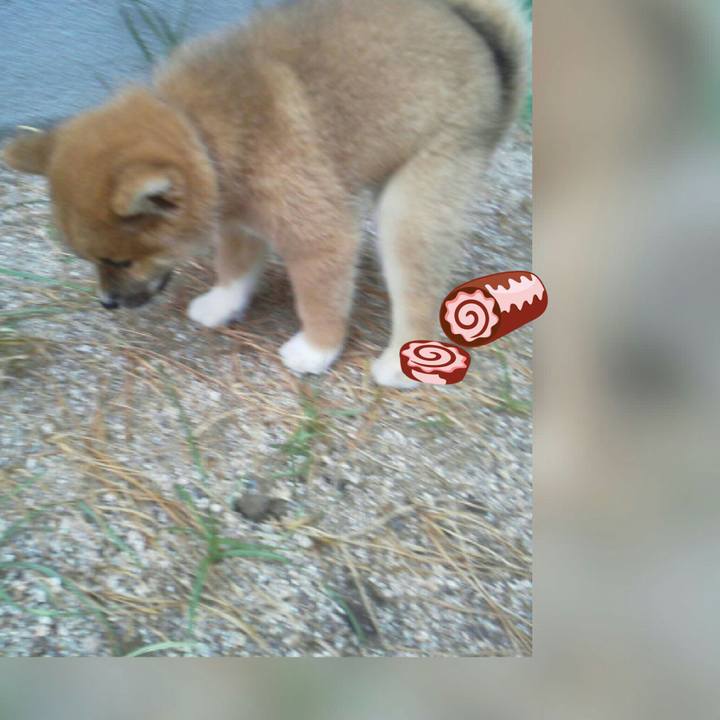 1cc200c7 b629 445d a9d0 2807b399a733