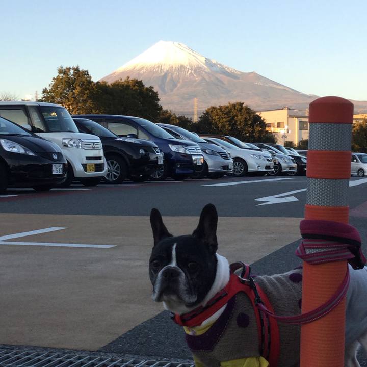 1cc2f324 82b9 44d1 99b2 c5f84e2dbdaa