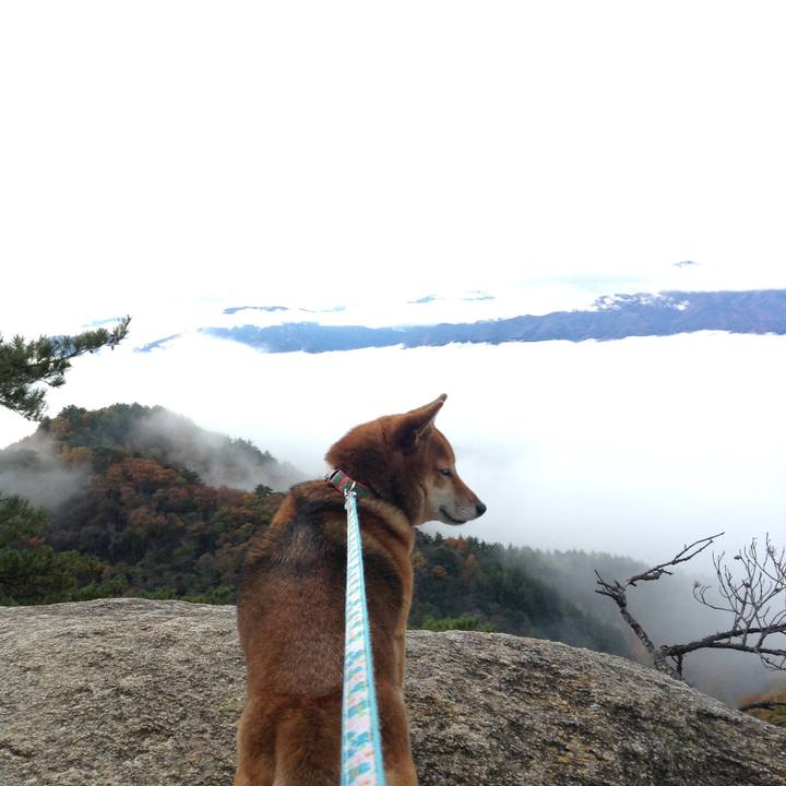 1cc32887 1aae 4346 96e0 8209d9f3b98f