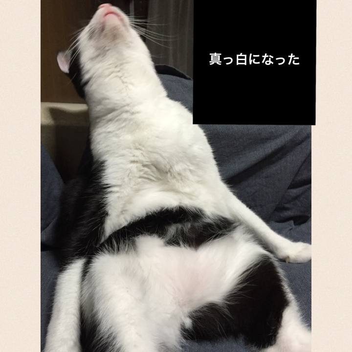 1cc3c8df ee64 47a4 bae6 9d5da04a040a