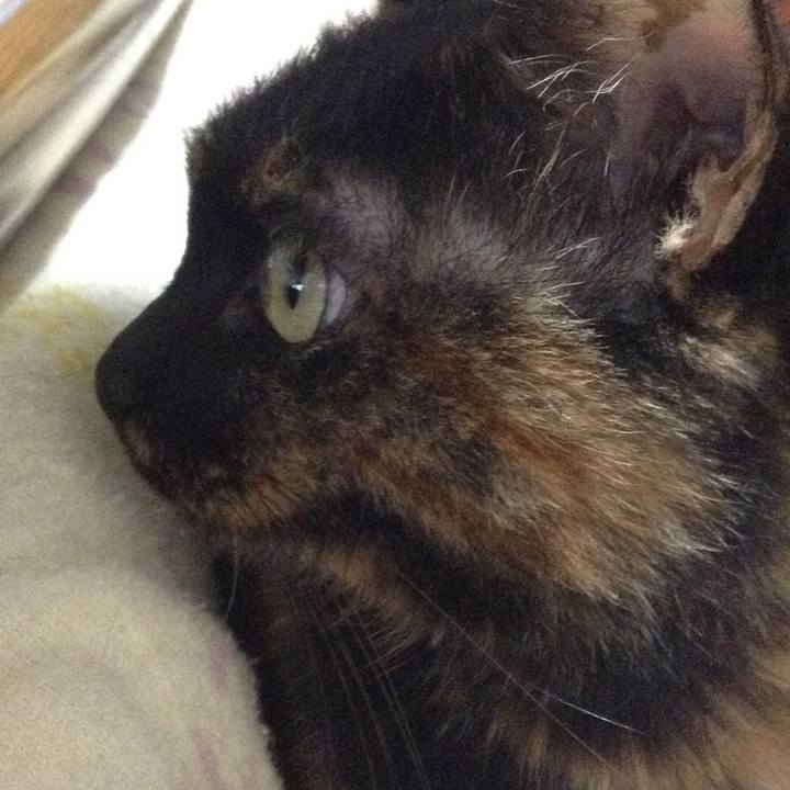 1cc4e4cc 9ab3 474c b14b 753cd5697c18