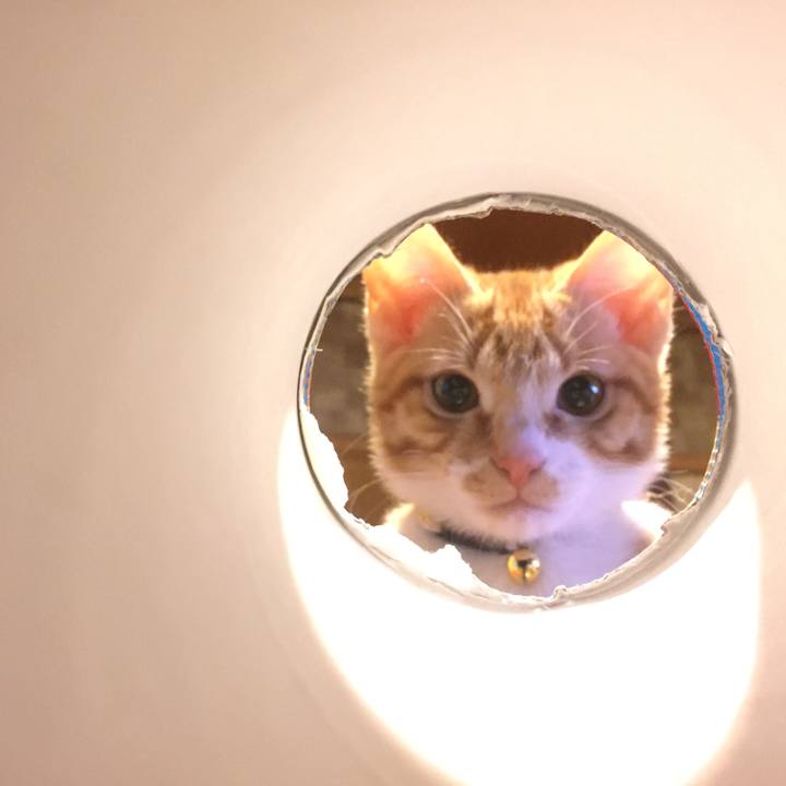 1cc51571 7637 4ec0 9ac2 9f48e45680d8