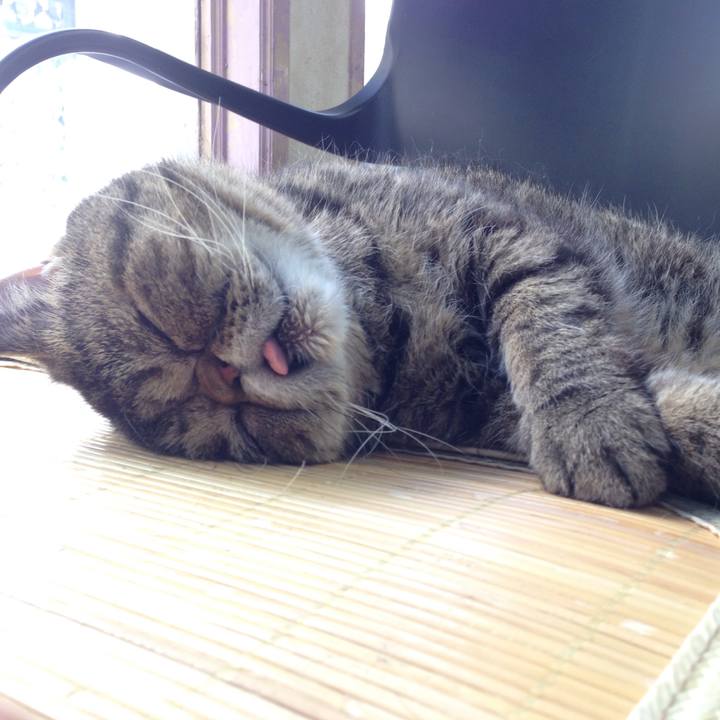 1cc58da0 4995 4b3c 8da1 71874ec16a4e