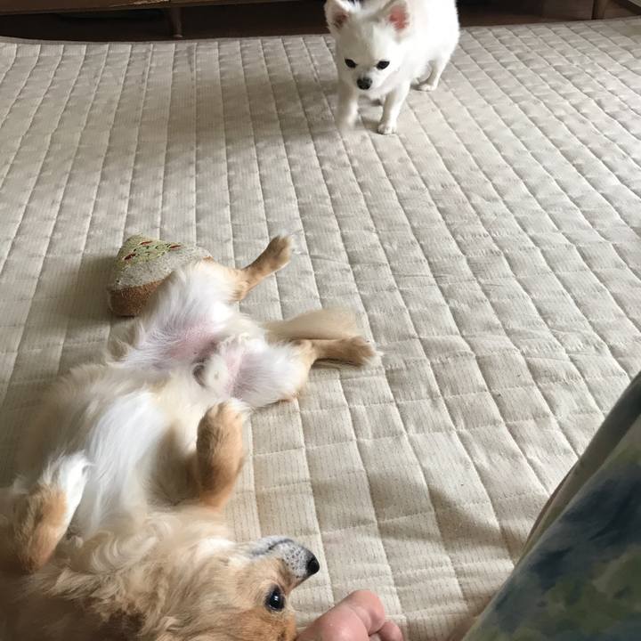 1cc5ef8c 819b 4968 a0d8 5996c9be2423