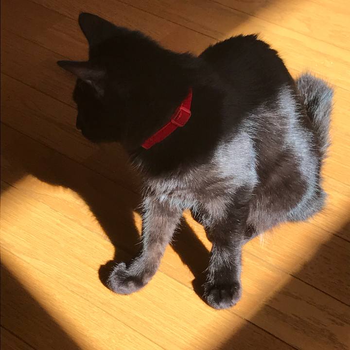 1cc68796 e441 4c52 9ea7 bca58feced14