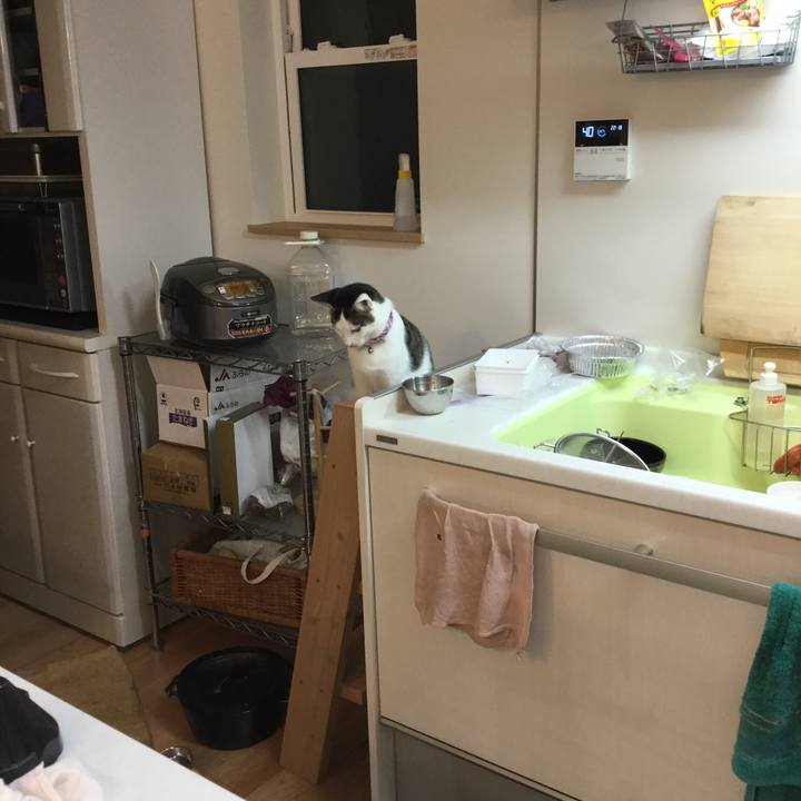 1cc715d2 45fd 4ded 8142 cf6cdfe494c8