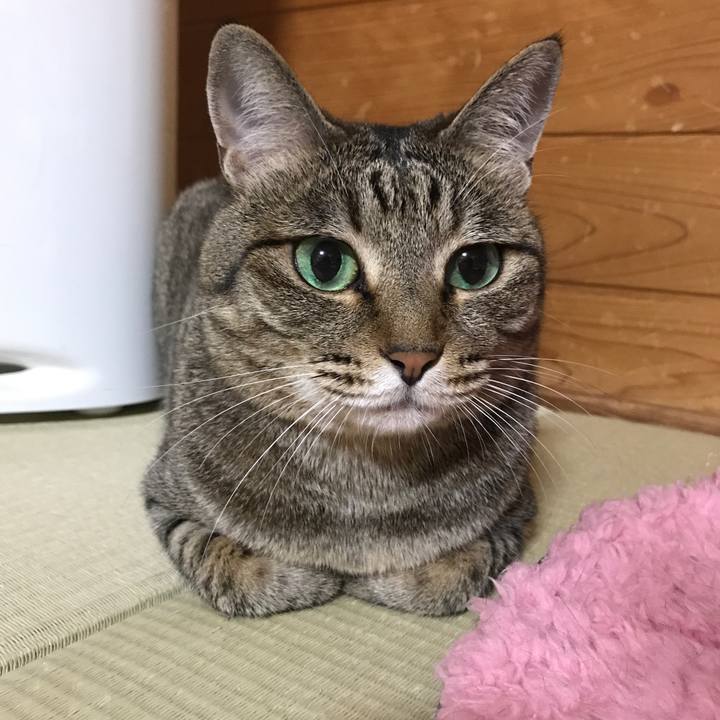 1cc7c8f8 8620 4238 be3d 95e4e23691a8