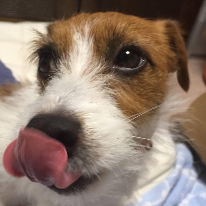 1cc82302 2ee4 4525 a6fe 95882f409b9f