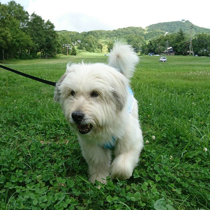 1cc8df3c dac4 435e bf61 8074a1602750