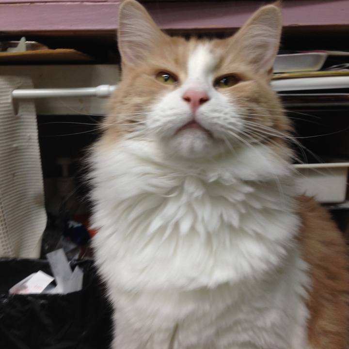 1cc945ea 21f2 4498 867e 22f06301553f