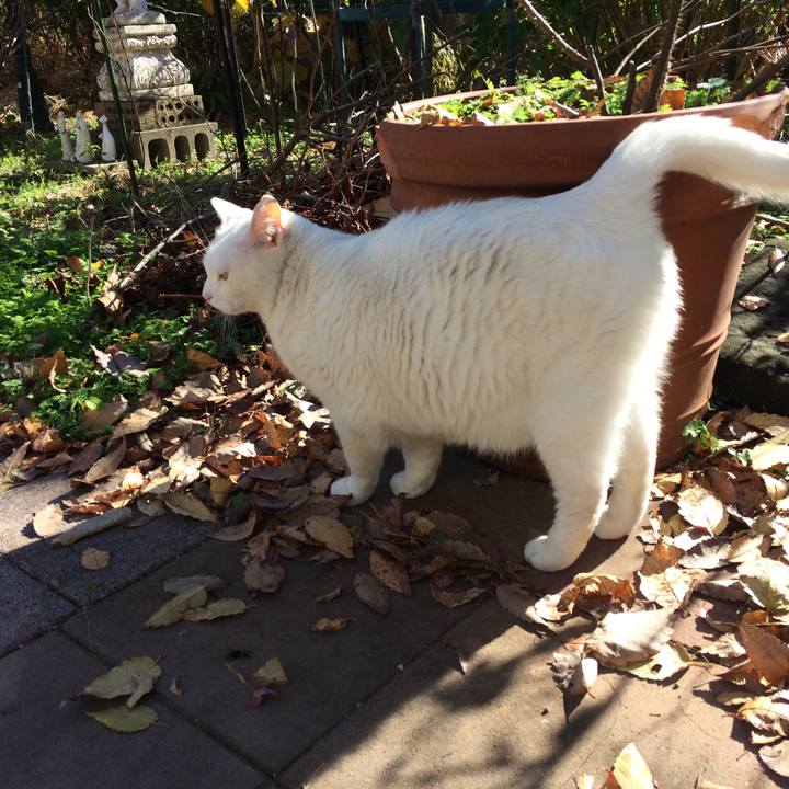 1cc9ae32 7e2c 414f a335 9b5aa8f8f354