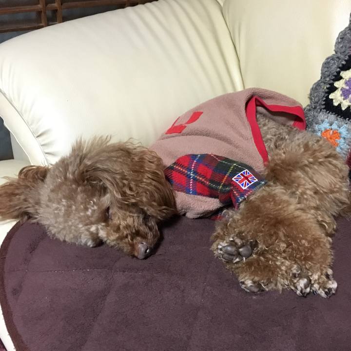 1ccb3ef6 e6de 4fe7 8997 fb97bd7da5a3