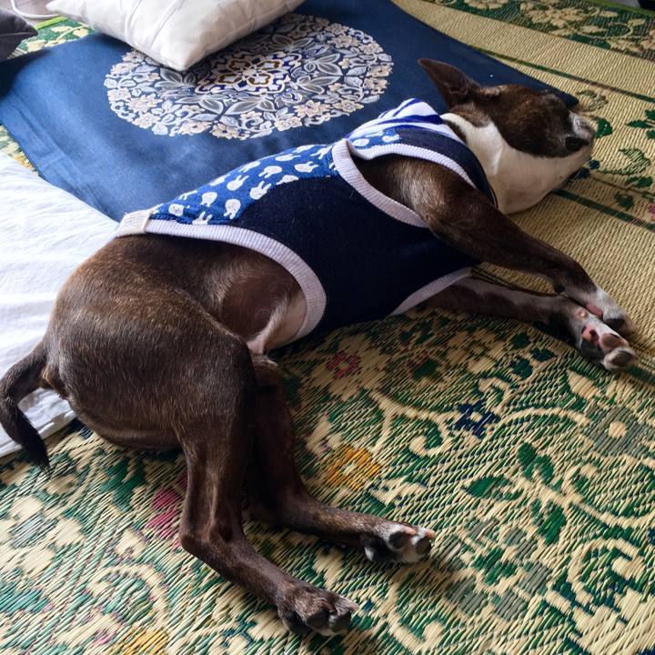 1ccbbe39 8330 4079 8582 c52ef30c7964