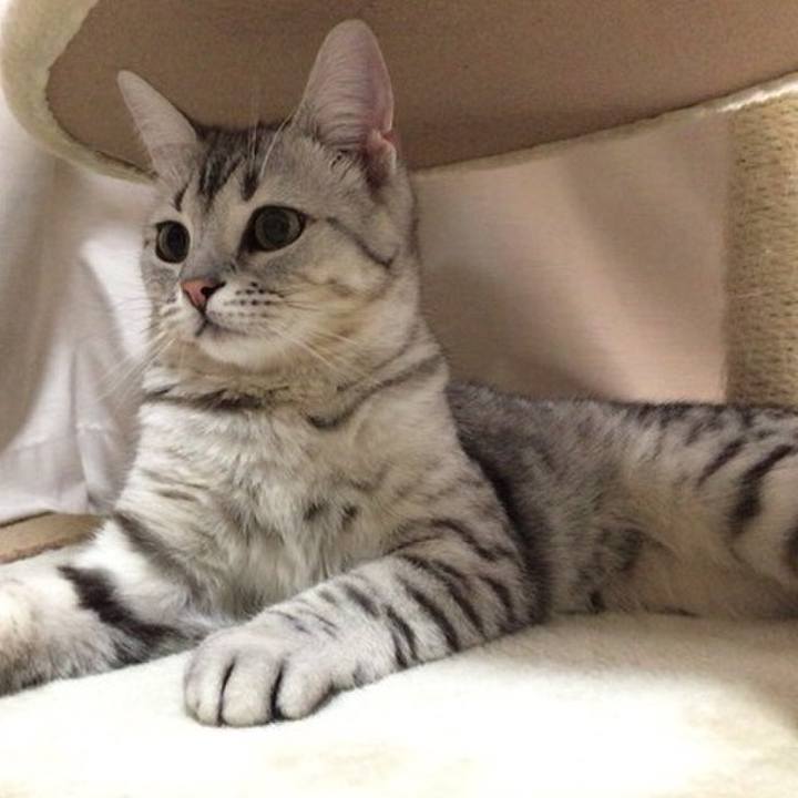 1ccbc7a1 3820 4d91 9384 c24bc9bbeaf0