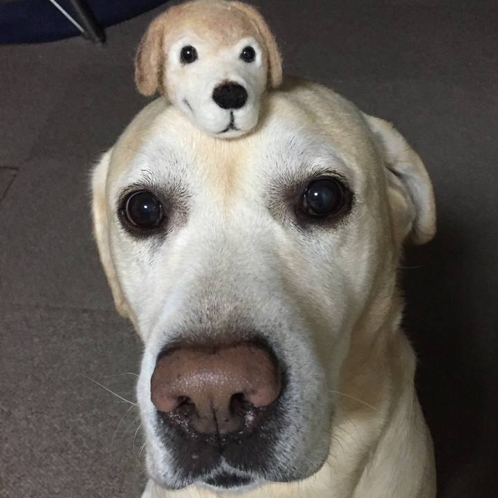 1ccce393 4161 4eaf b669 7d650c5bf99d