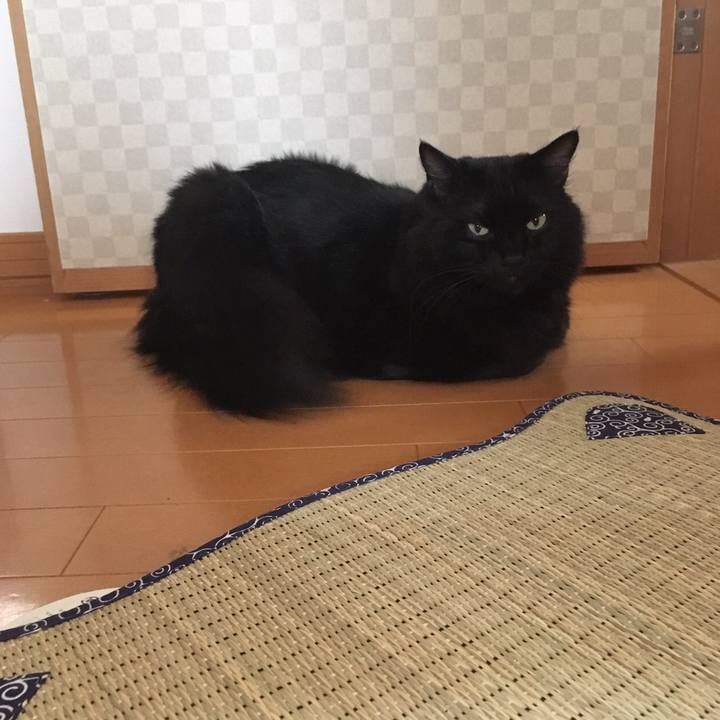 1cce77ce f973 43e2 b345 a8e2d6b74a4b