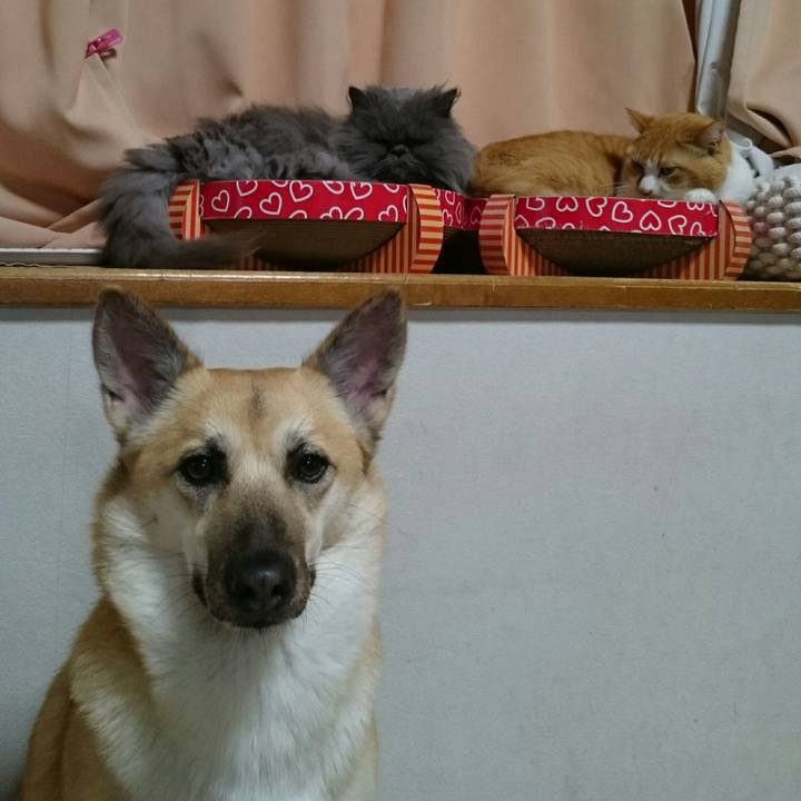 1ccec72e bb9b 4f24 b58e c57a75506b42