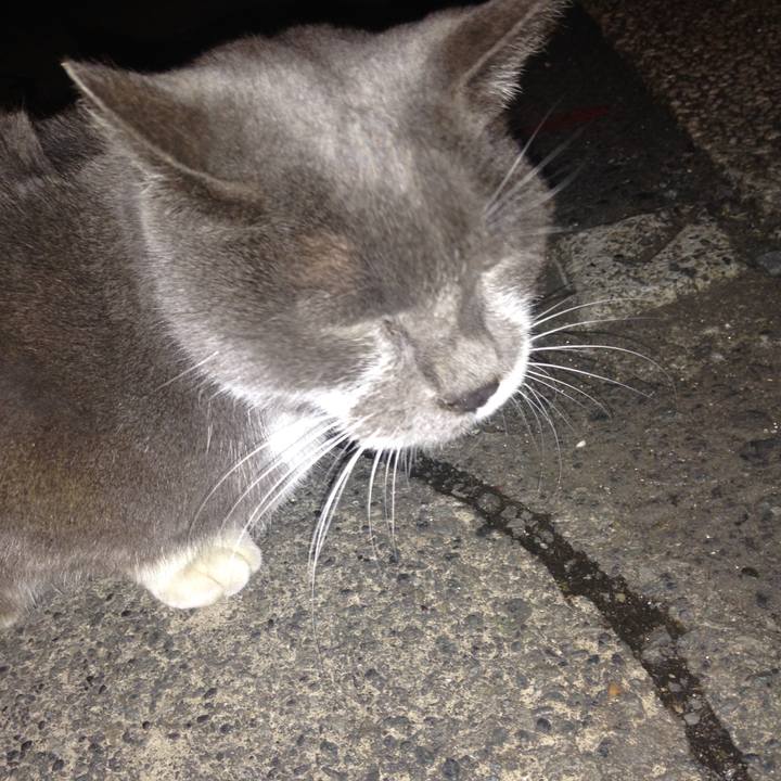 1ccf4db6 daf4 46ea 8262 548ccf5a3e7e