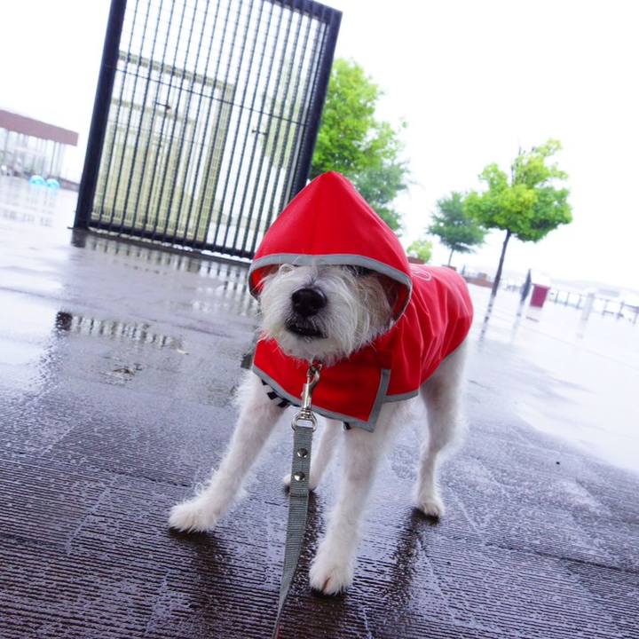 1ccfbf00 6479 4ccf 847a f7d10e4ca128