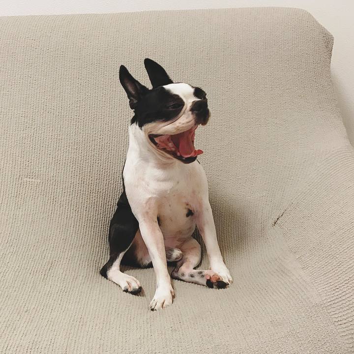 1ccfd93c 5331 4186 8994 f7f3cc40793b