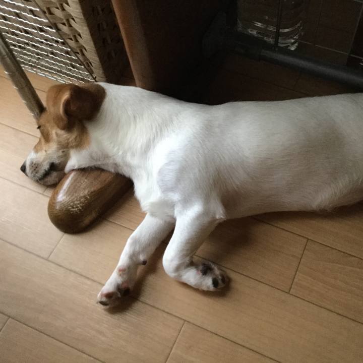 1ccfe527 494c 41fe b933 e147156dded8