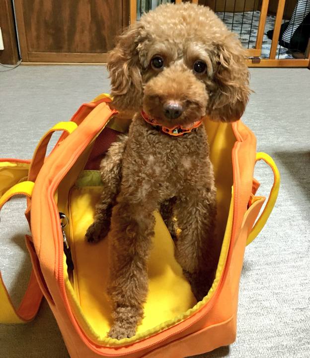 1cd03c86 1483 48eb 97a7 b07471fb2878