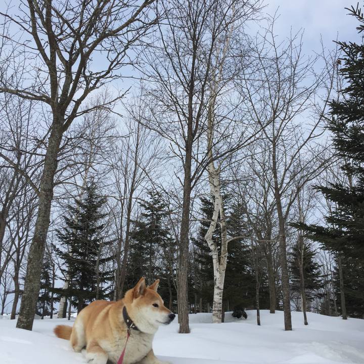 1cd077fb 841e 490f a0f8 c80aba2700e9