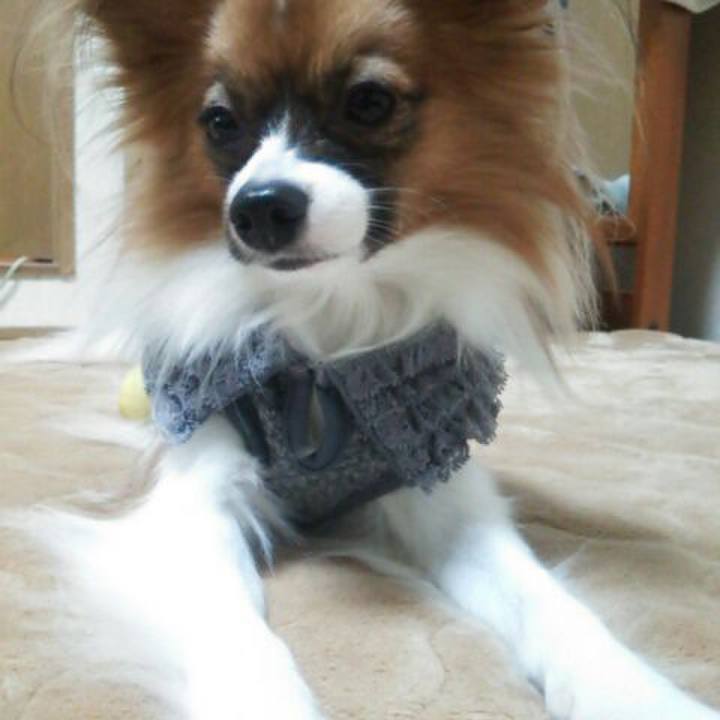 1cd08e2f ab42 45ed 9861 81b04e9b5fd5