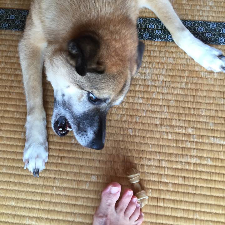 1cd0c142 e991 41e5 ba76 46f78ee35f36