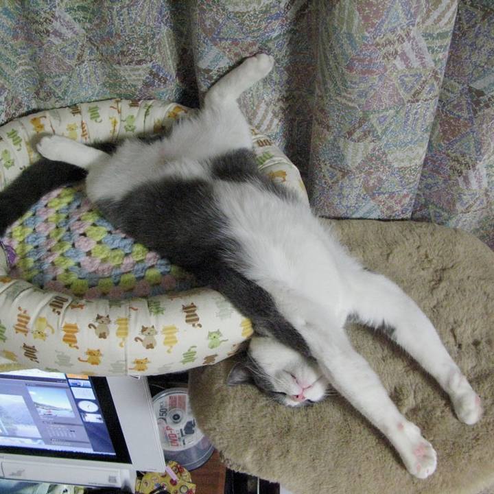 1cd0d105 2135 4095 93f0 968a30394f7f