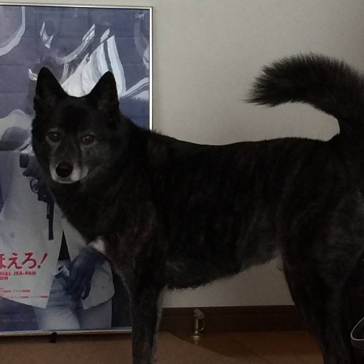 1cd0f25c 7d1d 465c 8870 7696f72380f9