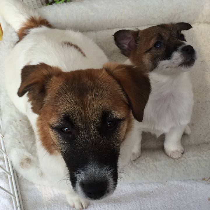 1cd108c5 ac47 437a 8033 f03711a1ed34