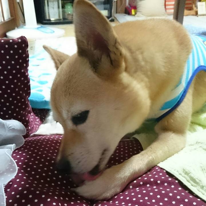 1cd18747 853b 4d1b 969c c85e6ae20f99