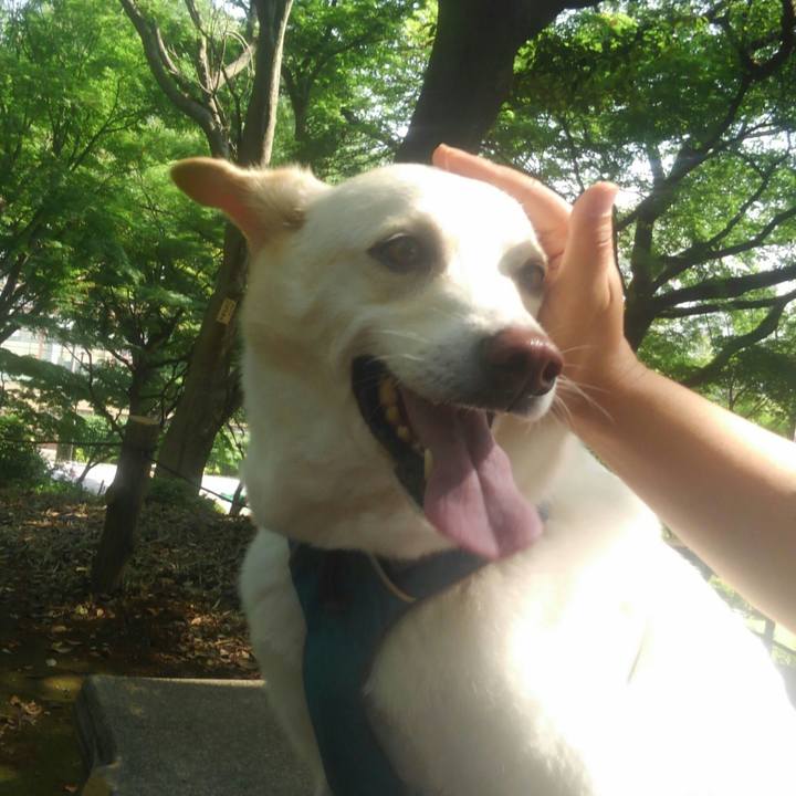 1cd227a1 7e9f 401b b128 f9eebc08d876