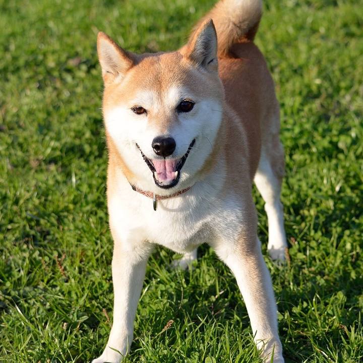 1cd25f99 5c71 460f af1f 3a669a9dd4e1