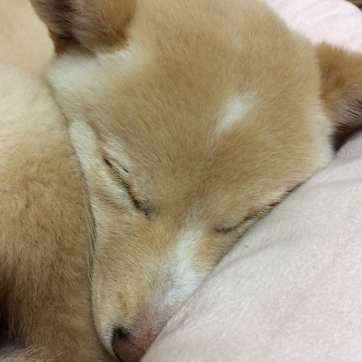 1cd2cca7 896e 4367 b2b5 f93cbaf1af87