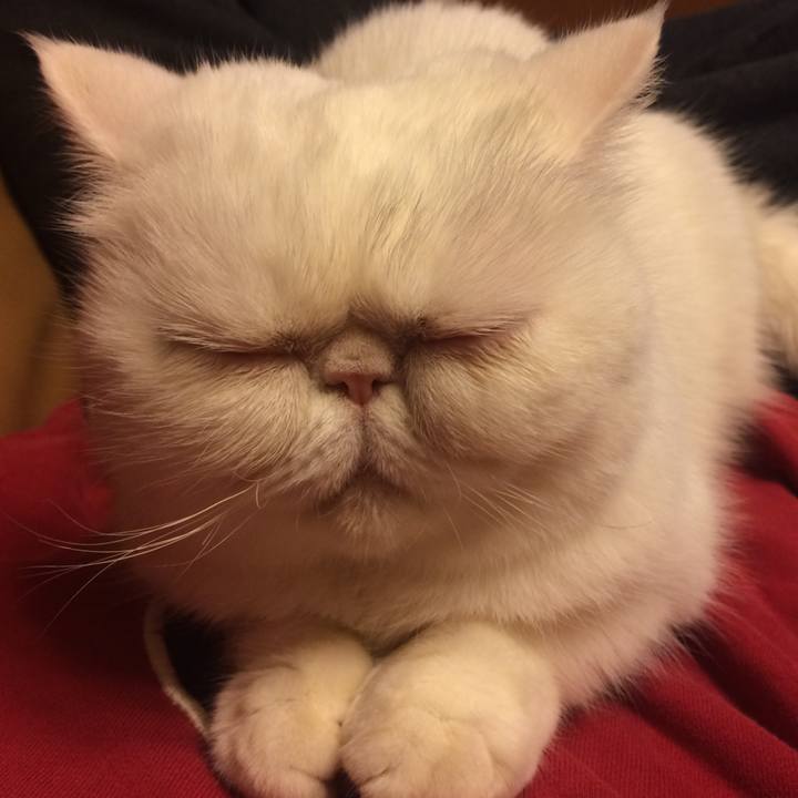 1cd2dd4d 465e 4ac0 98d4 a71b764e1bc7