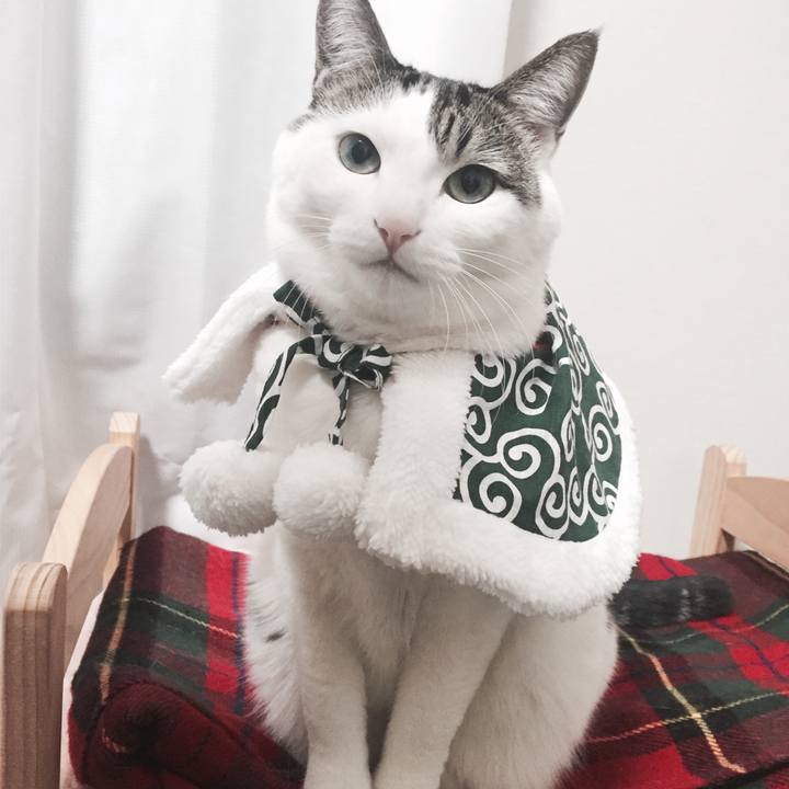 1cd4002e 0a34 4f00 8f60 f9a00de51c59