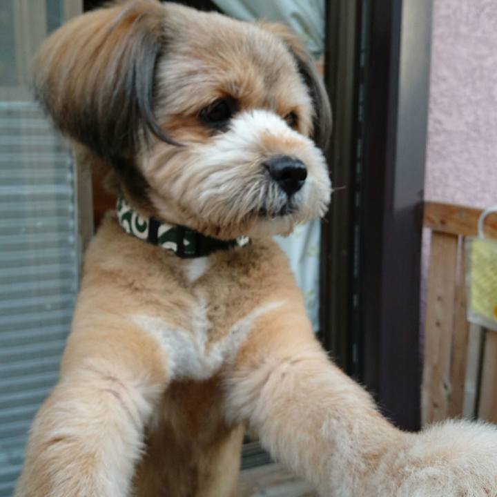 1cd503e3 ef93 42bc bcd5 3a864d2dd74e