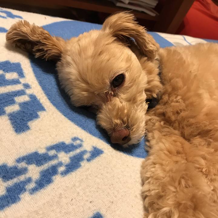 1cd52086 9552 450d 96ed 9f1b865d81d4