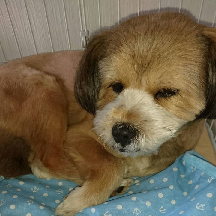 1cd54a93 2f01 44b4 a98c cd282b82cddd