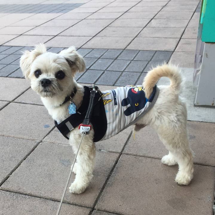 1cd5e138 d704 41b7 8719 e1f2884154a8